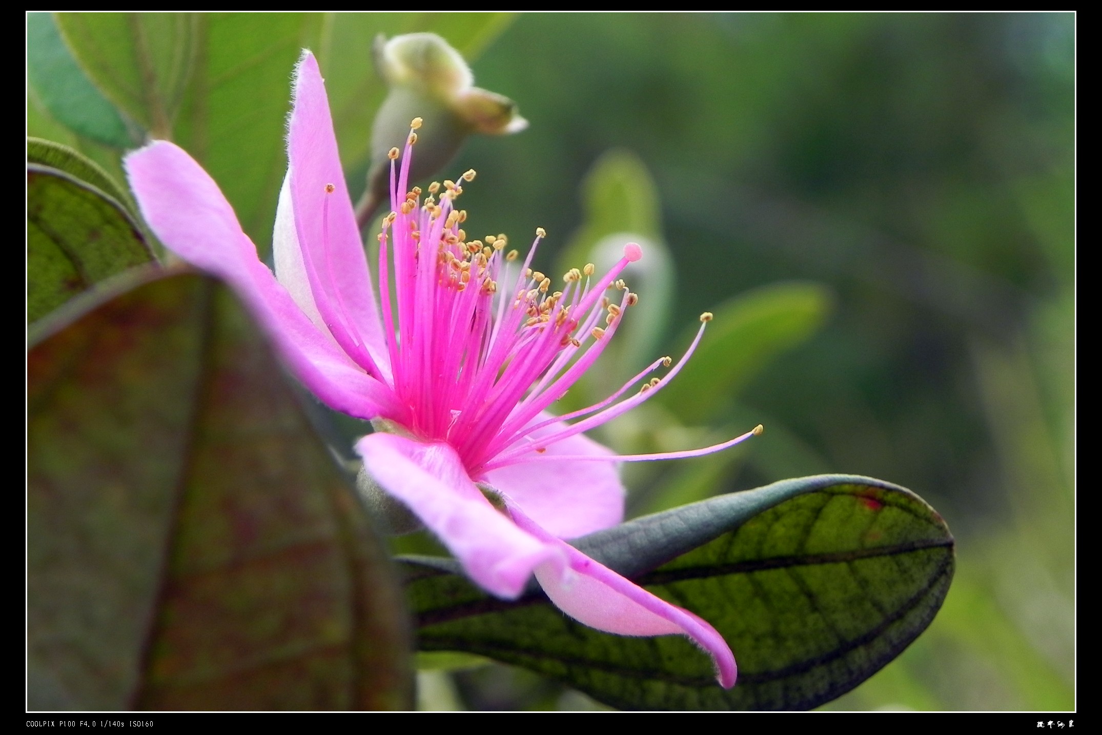DSCN9075.JPG