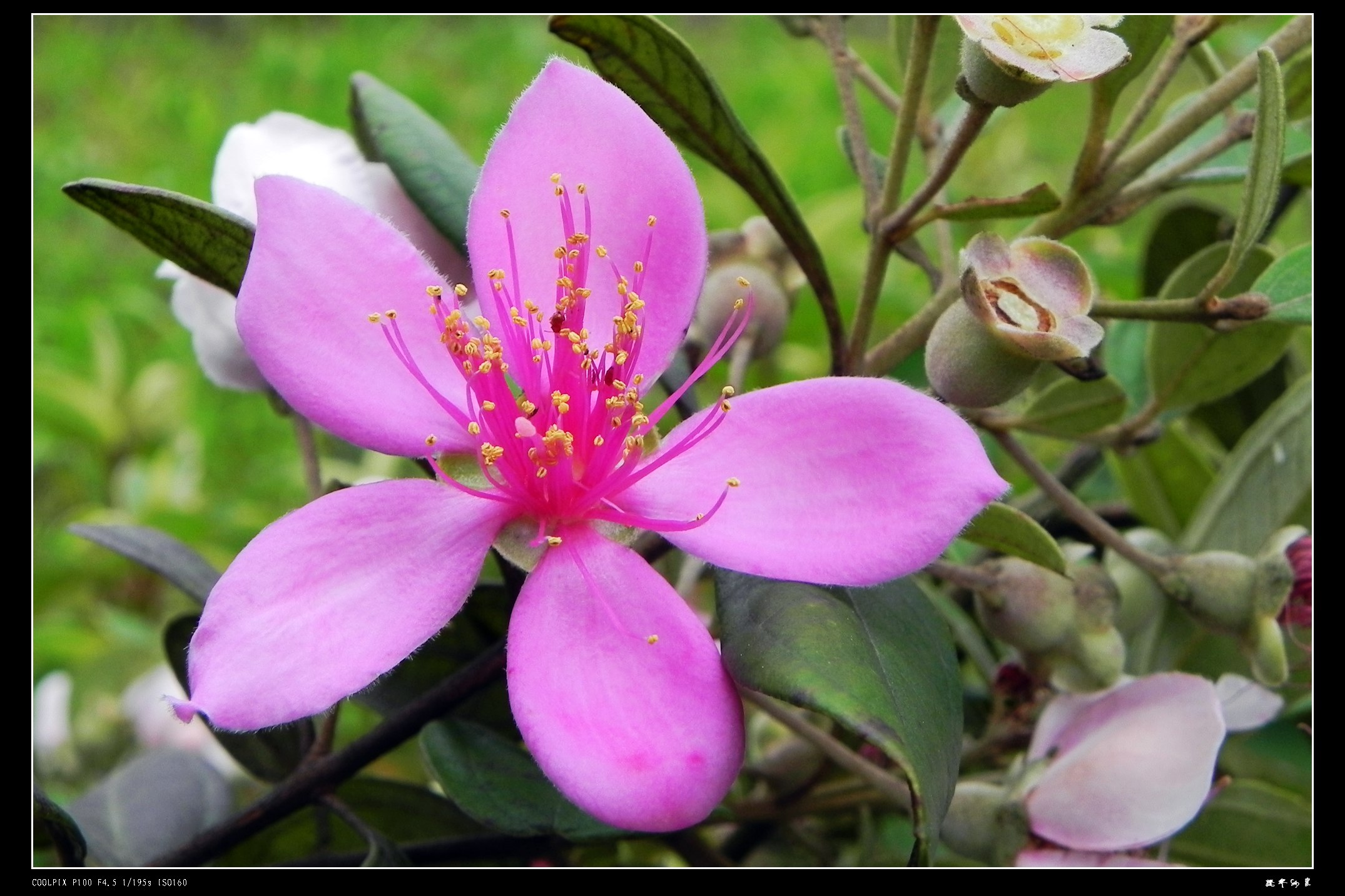 DSCN9077.JPG