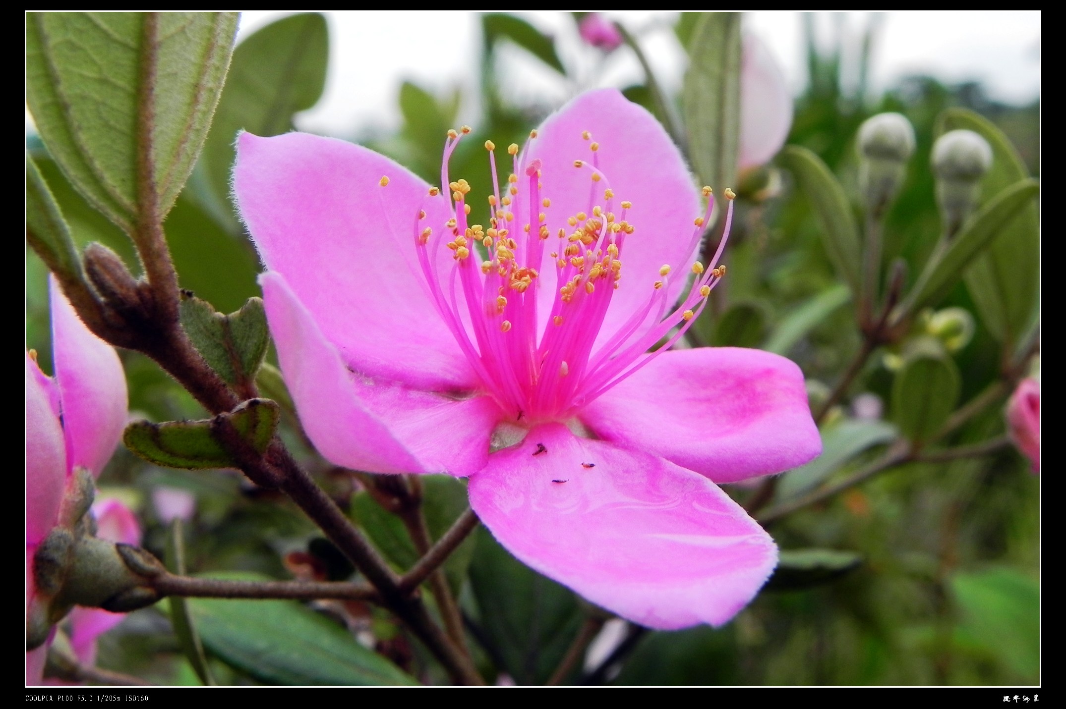 DSCN9094.JPG