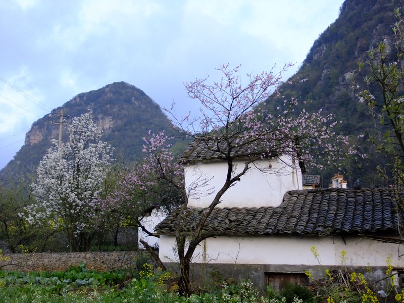 DSCF2737.jpg
