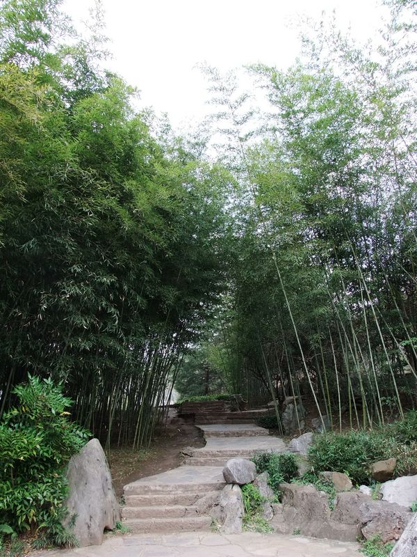 DSCF2921.jpg