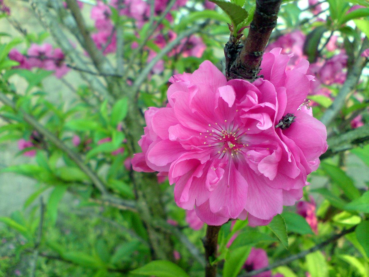 DSC01800.JPG