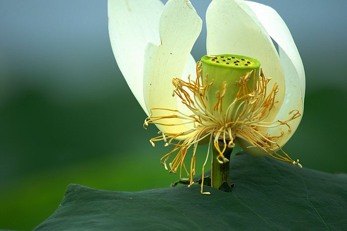 nEO_IMG_DSC00939.jpg