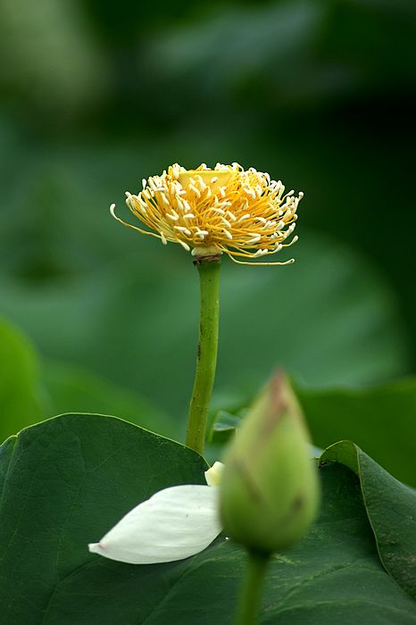 nEO_IMG_DSC00946.jpg