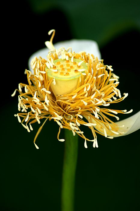nEO_IMG_DSC01033.jpg