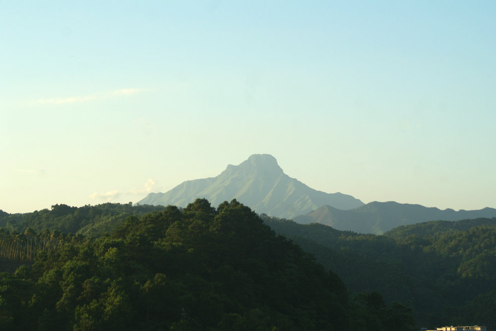 DSC03545.JPG