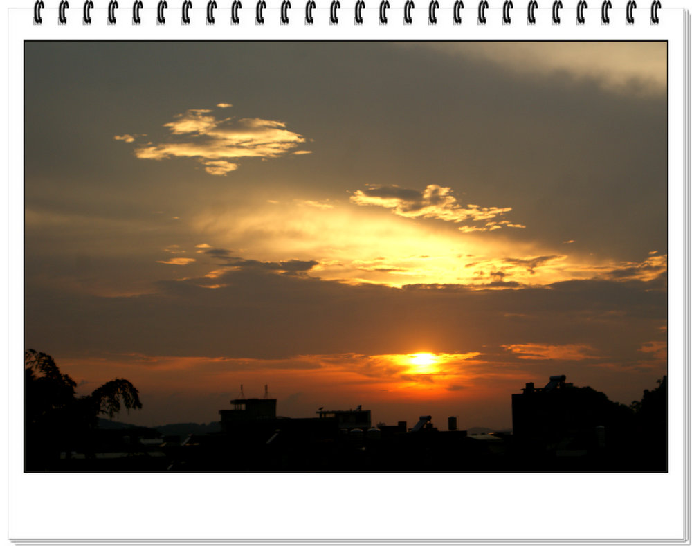 DSC04013.jpg