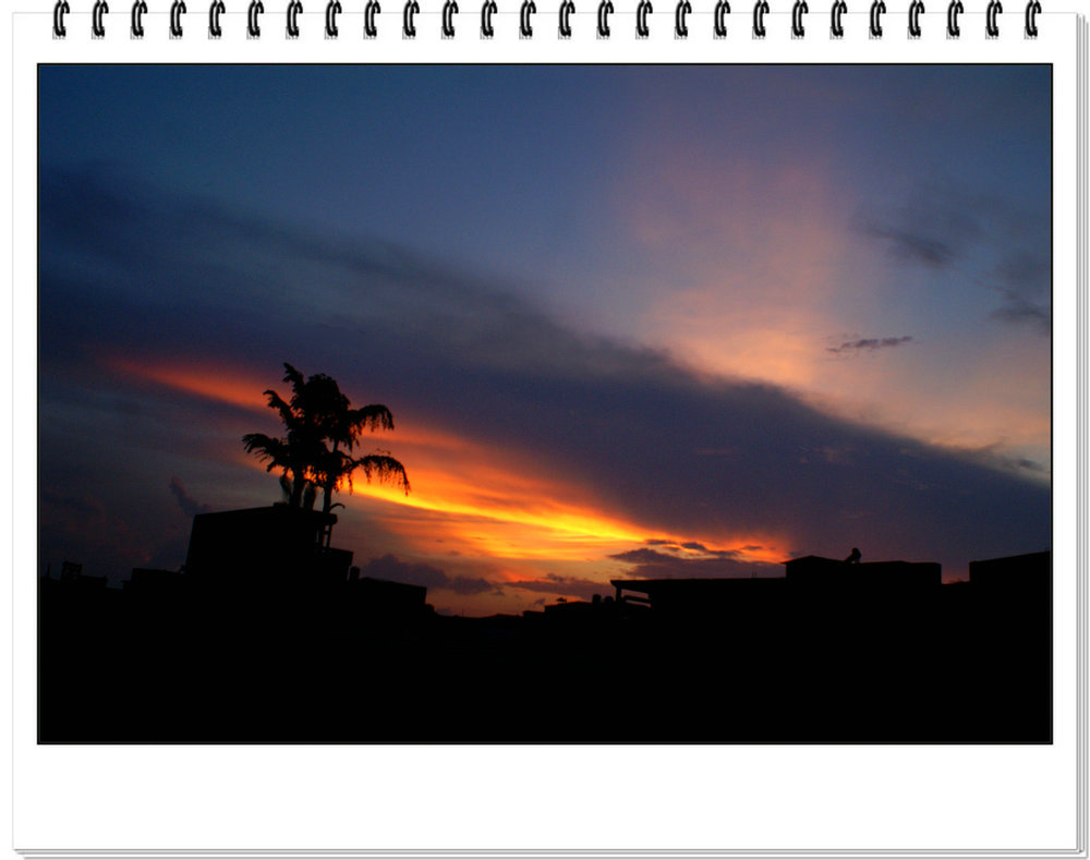 DSC04026.jpg