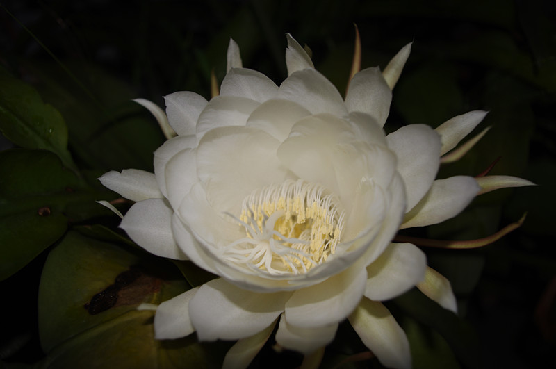 IMGP9798_副本.jpg
