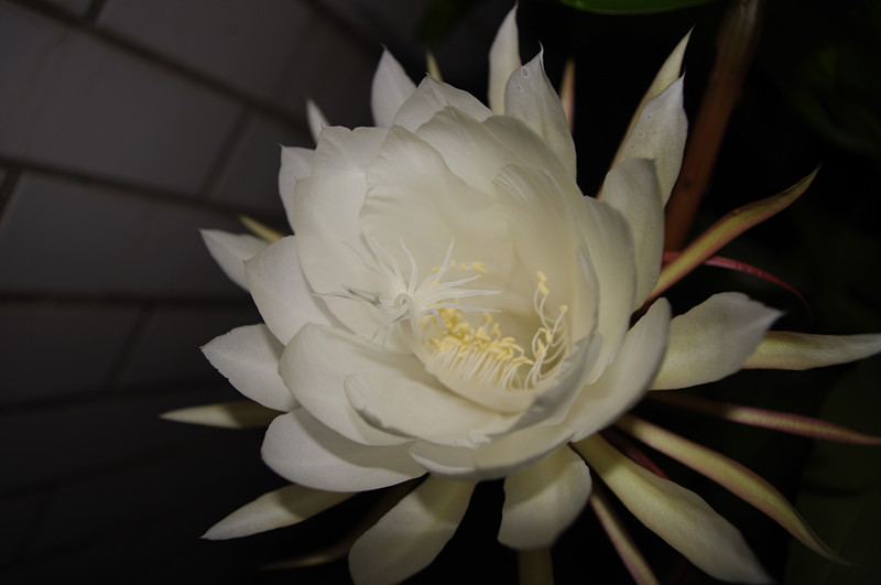 IMGP9804_副本.jpg