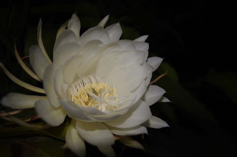 IMGP9807_副本.jpg