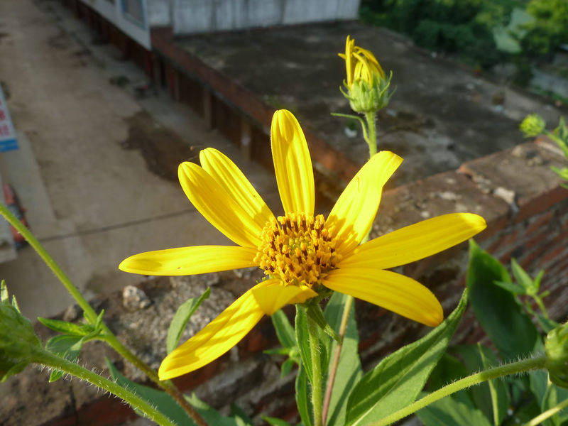 P1050800_1.JPG