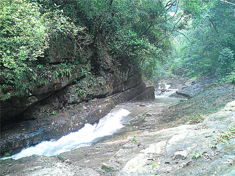 p08-06-11_11.59[01]_副本.jpg