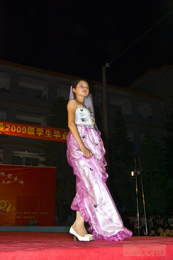 8536.jpg