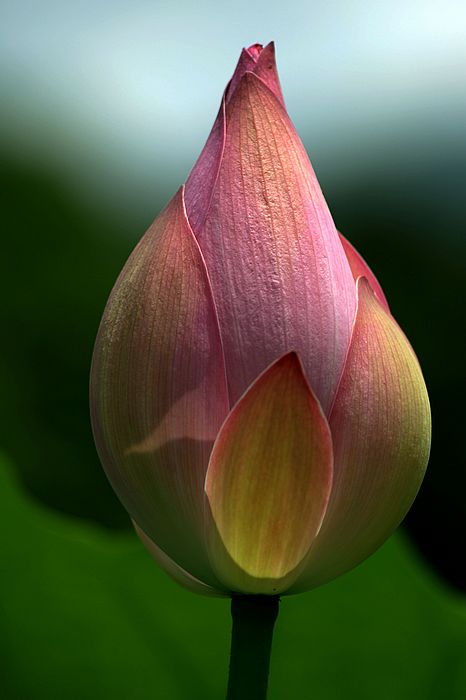 nEO_IMG_DSC01613.jpg