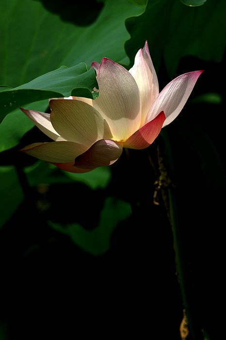 nEO_IMG_DSC01671.jpg