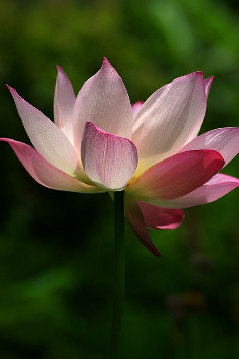 nEO_IMG_DSC01679.jpg