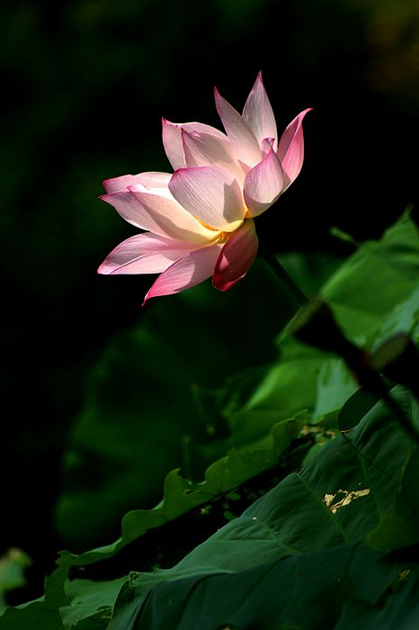 nEO_IMG_DSC01708.jpg