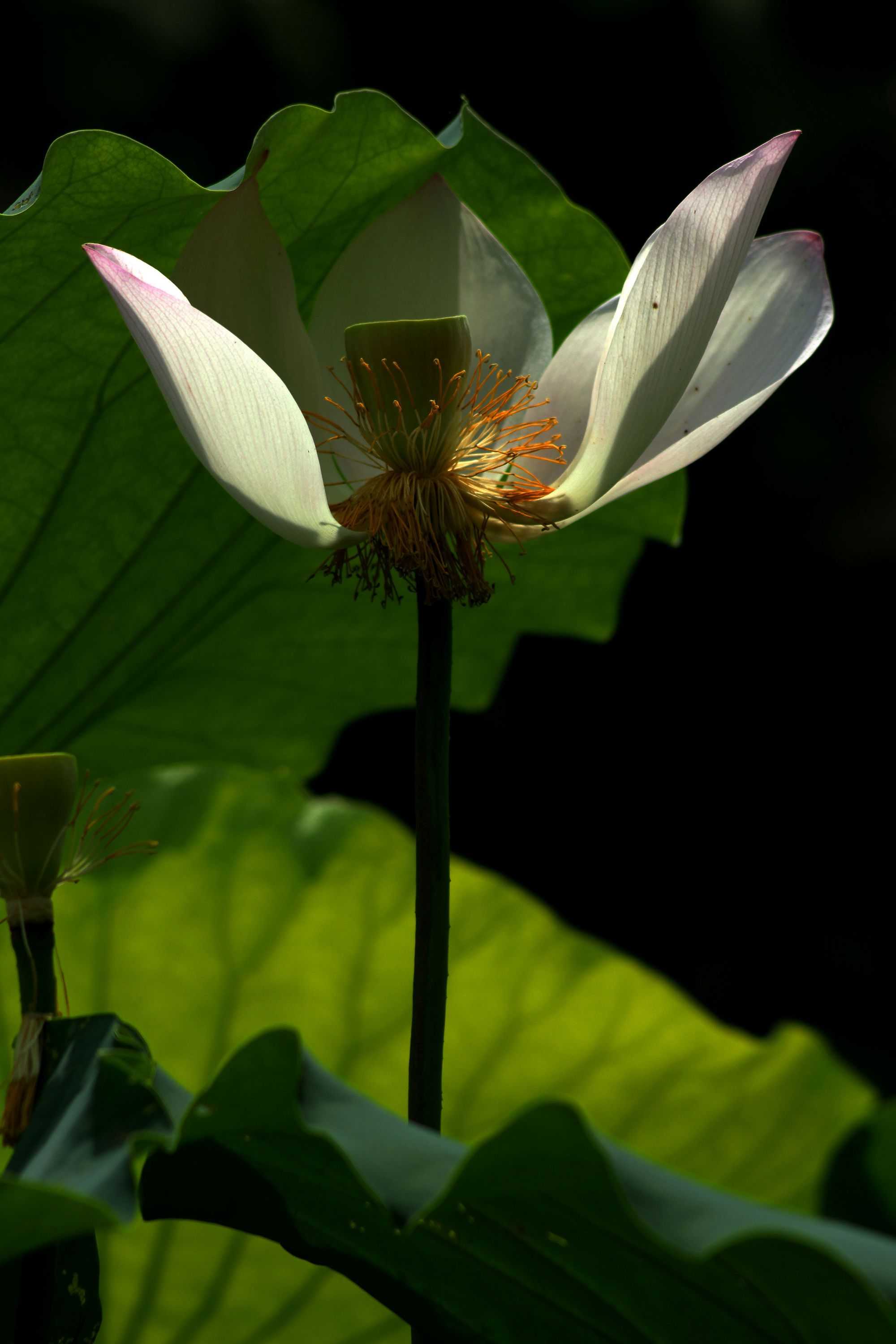 DSC01641.JPG