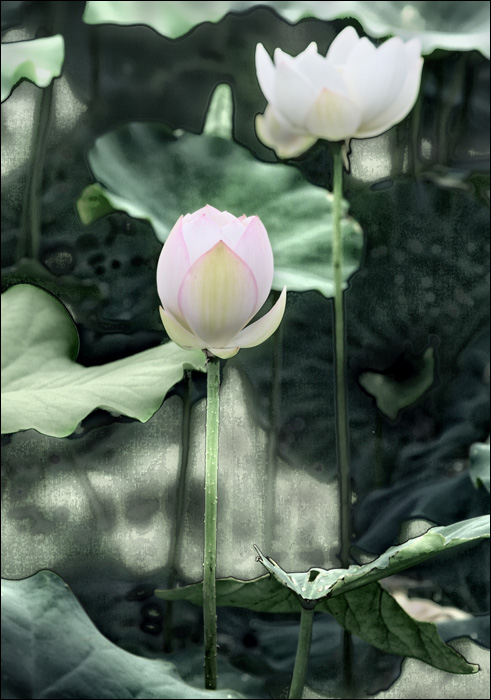 04.jpg