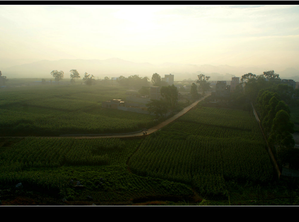 DSC04983.jpg