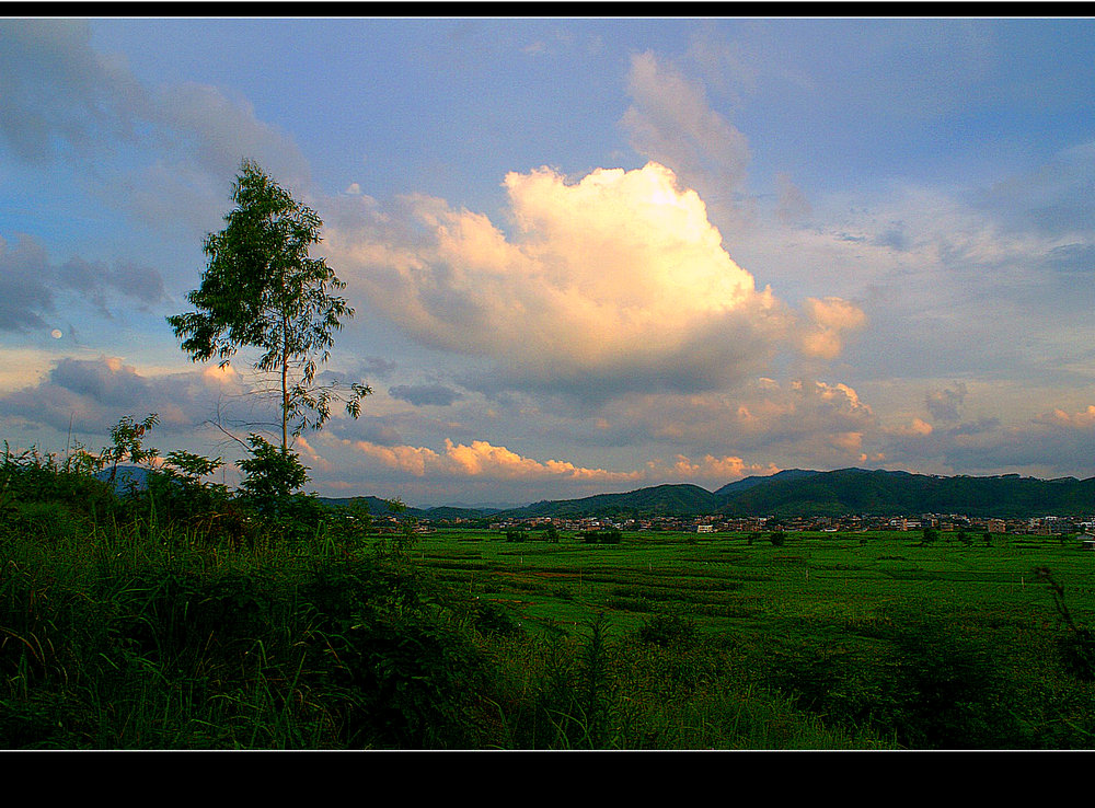 DSC05298.JPG