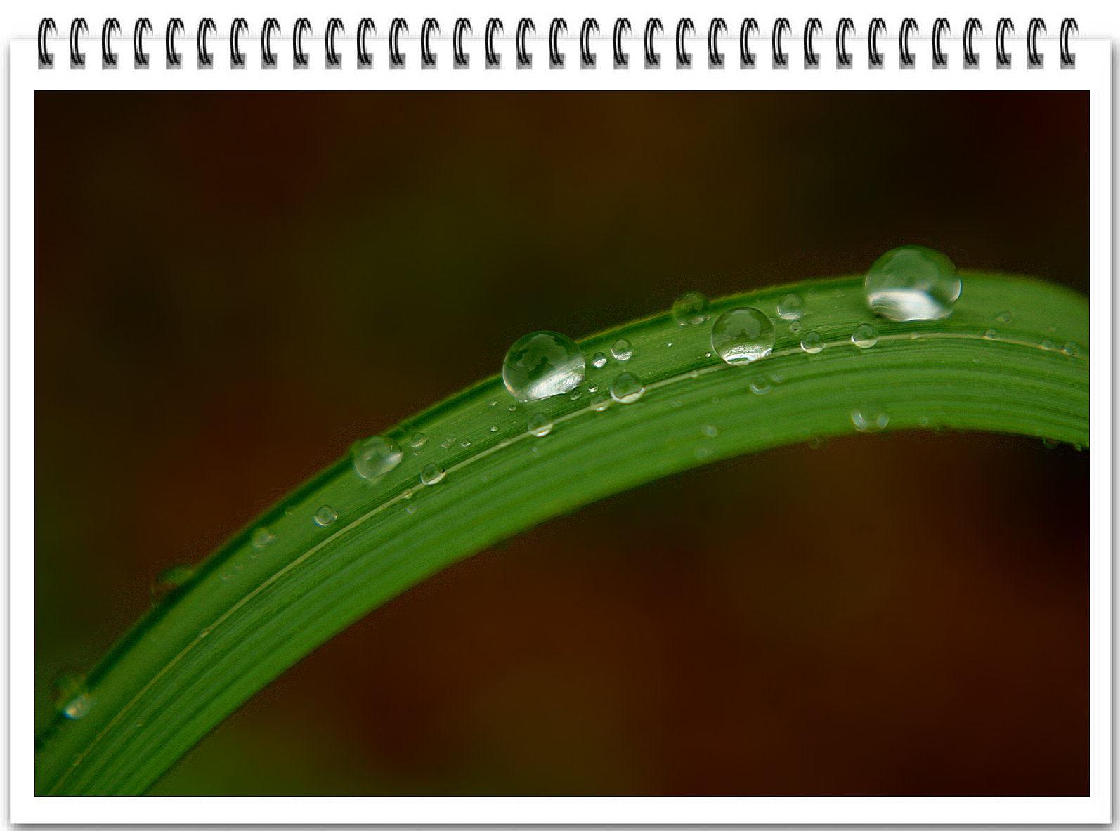 DSC05492.jpg