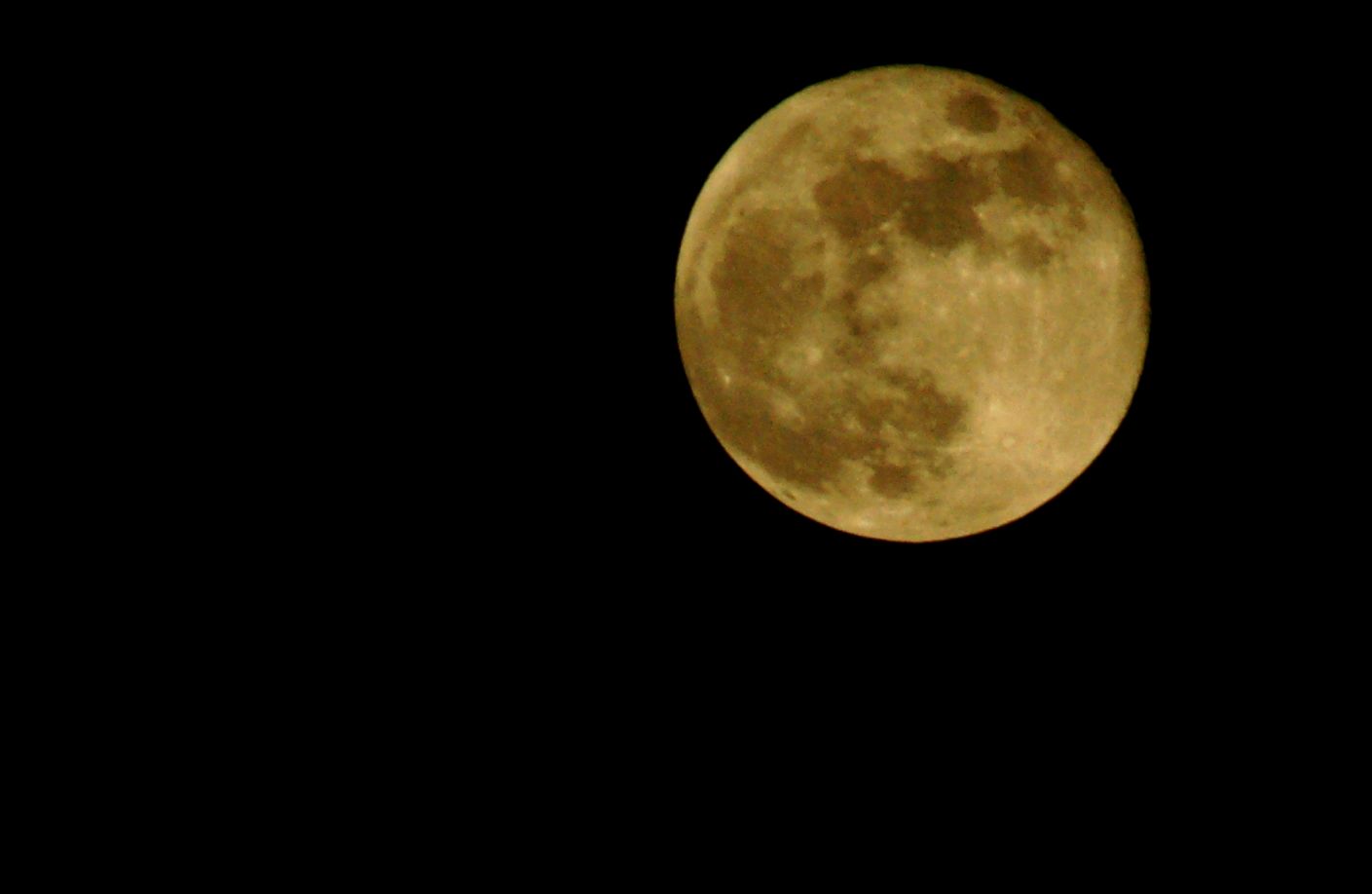 DSC02158.jpg