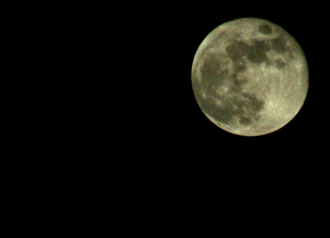 DSC02159.jpg