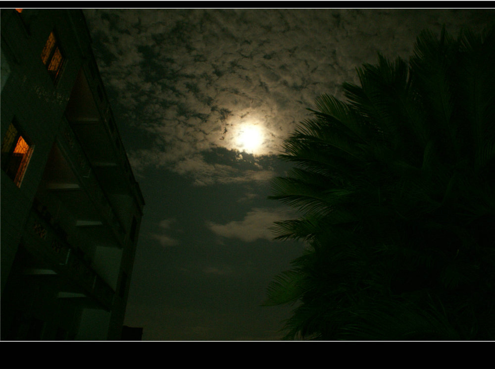 DSC05744.jpg