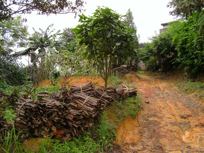 DSCK1356.JPG