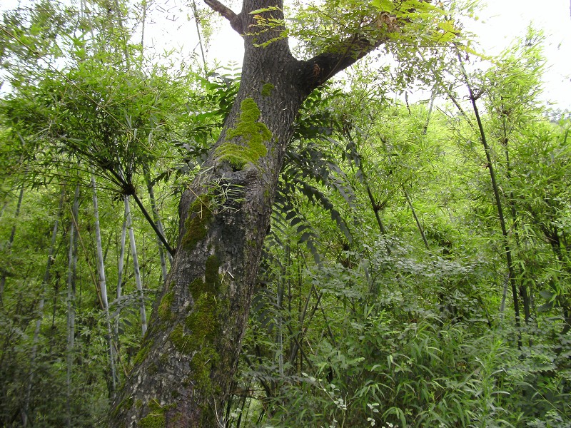 DSCK1375.JPG