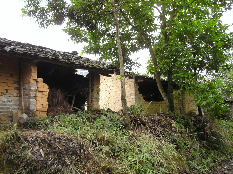 DSCK1376.JPG