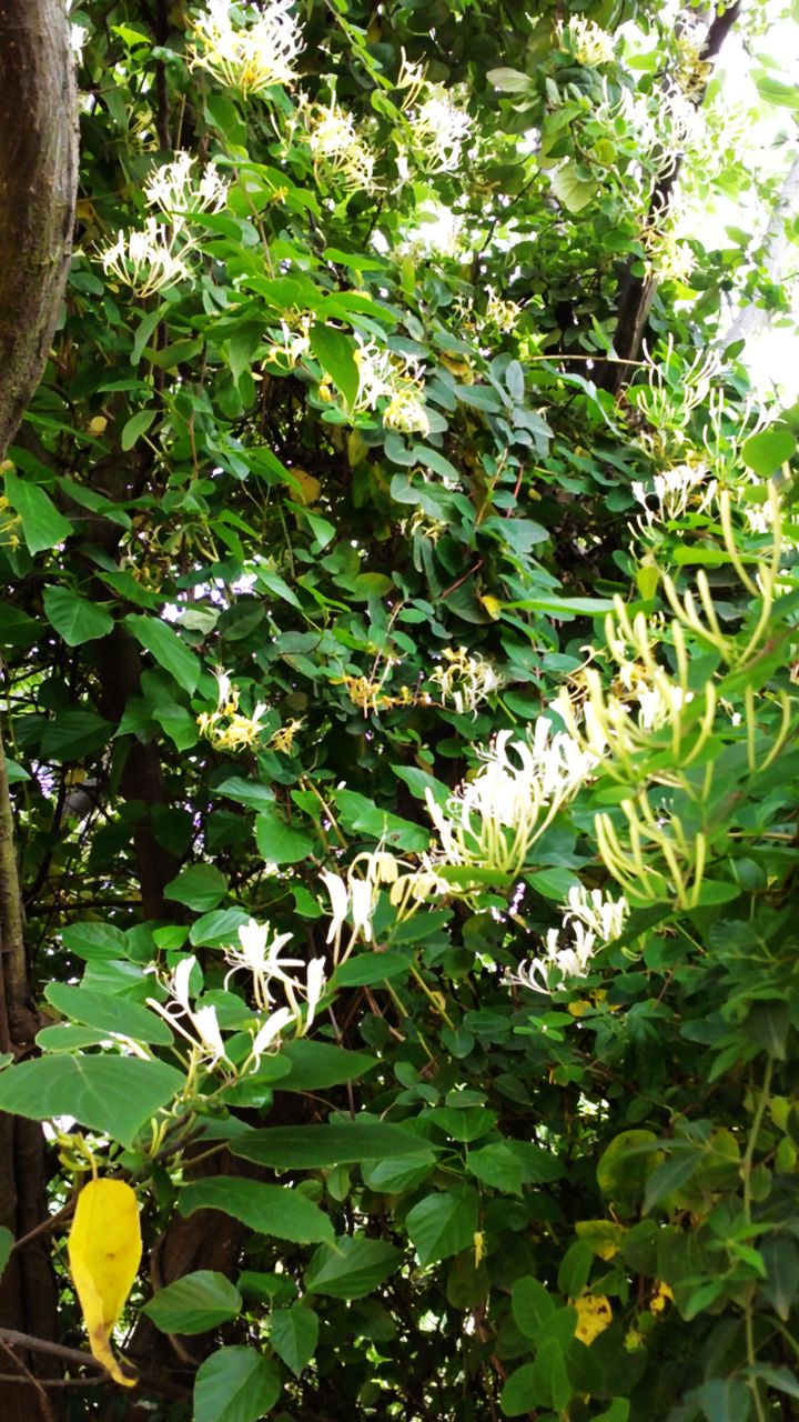20110504494c.jpg
