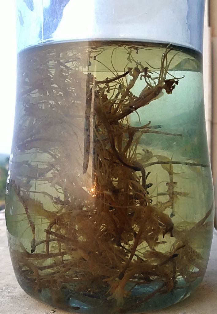20110529757b.jpg