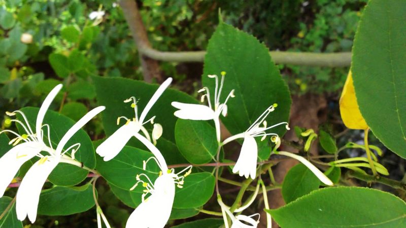 20110504497b.jpg