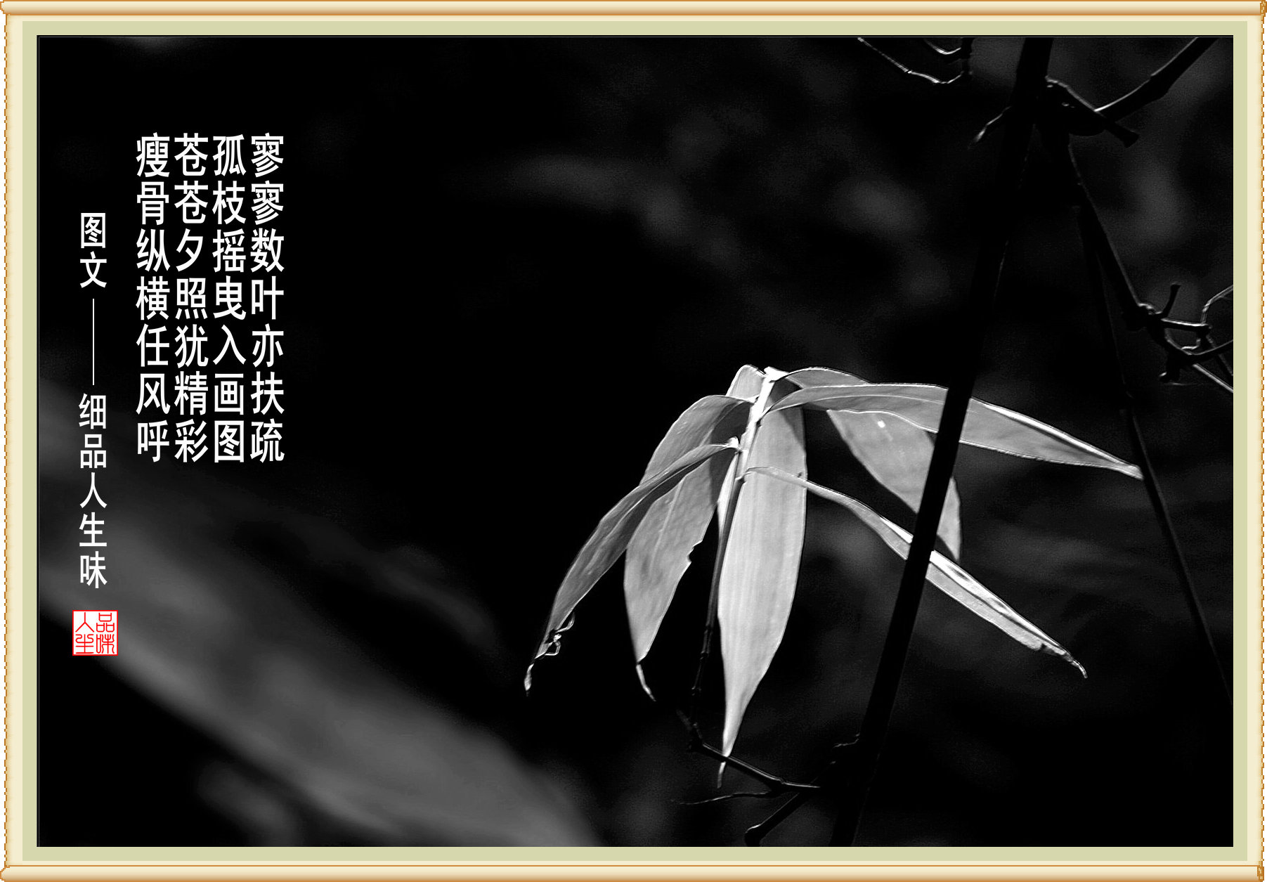 DSC06174_副本.JPG