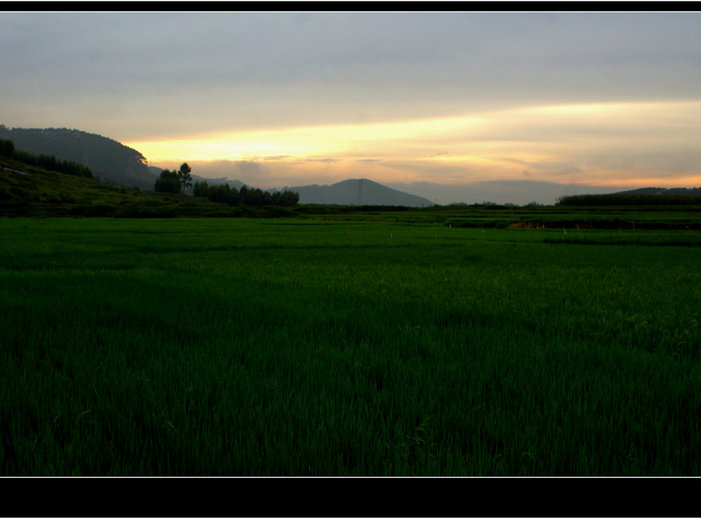 DSC05992.jpg