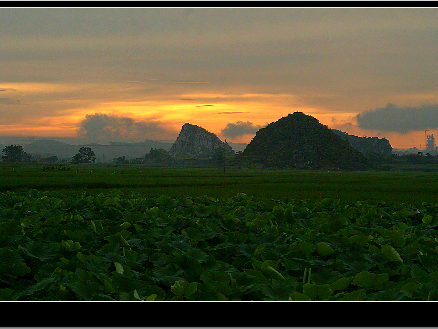 DSC06042.jpg
