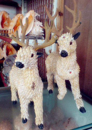 dsc06500_副本.jpg
