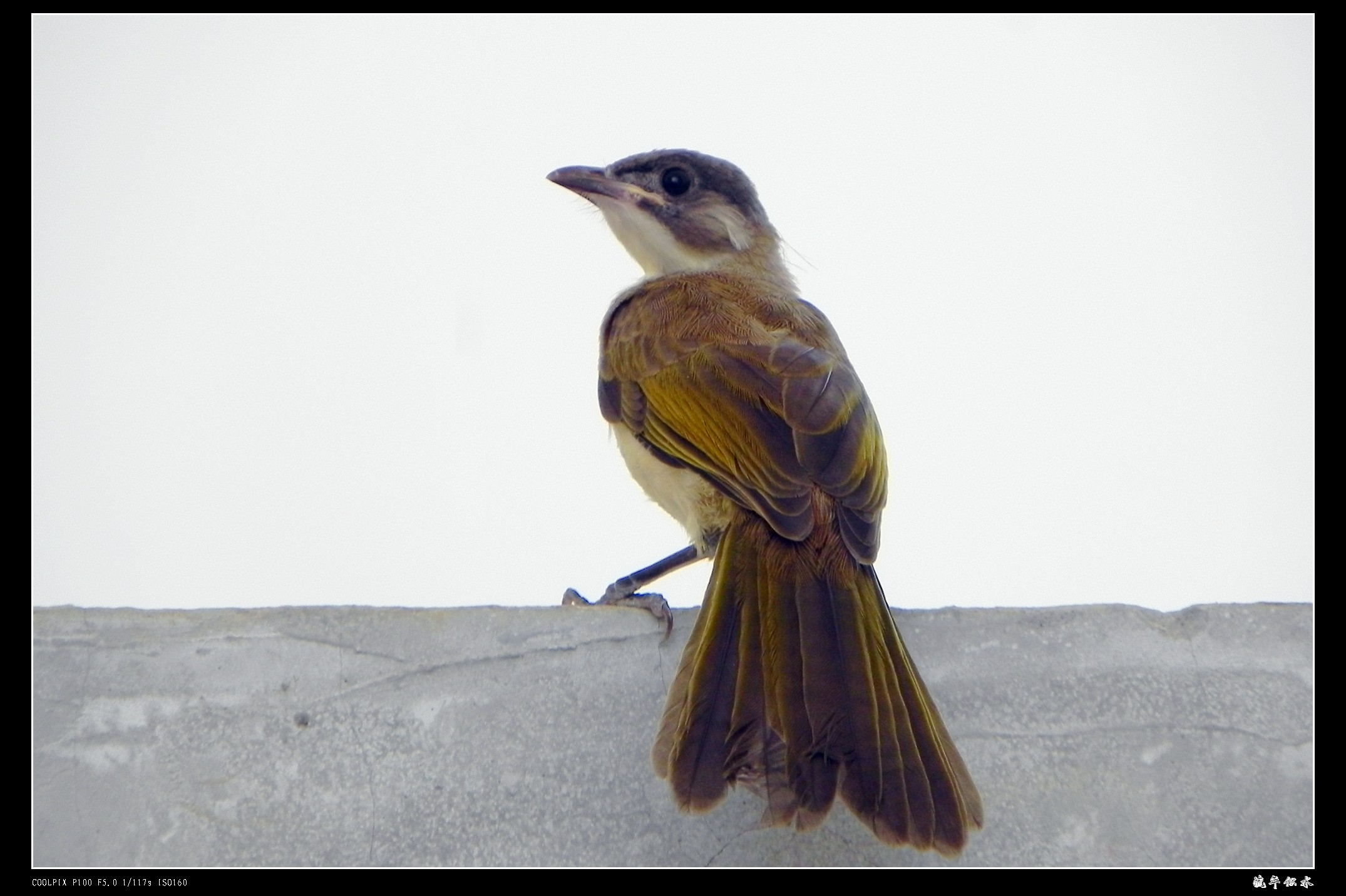 DSCN9724.JPG