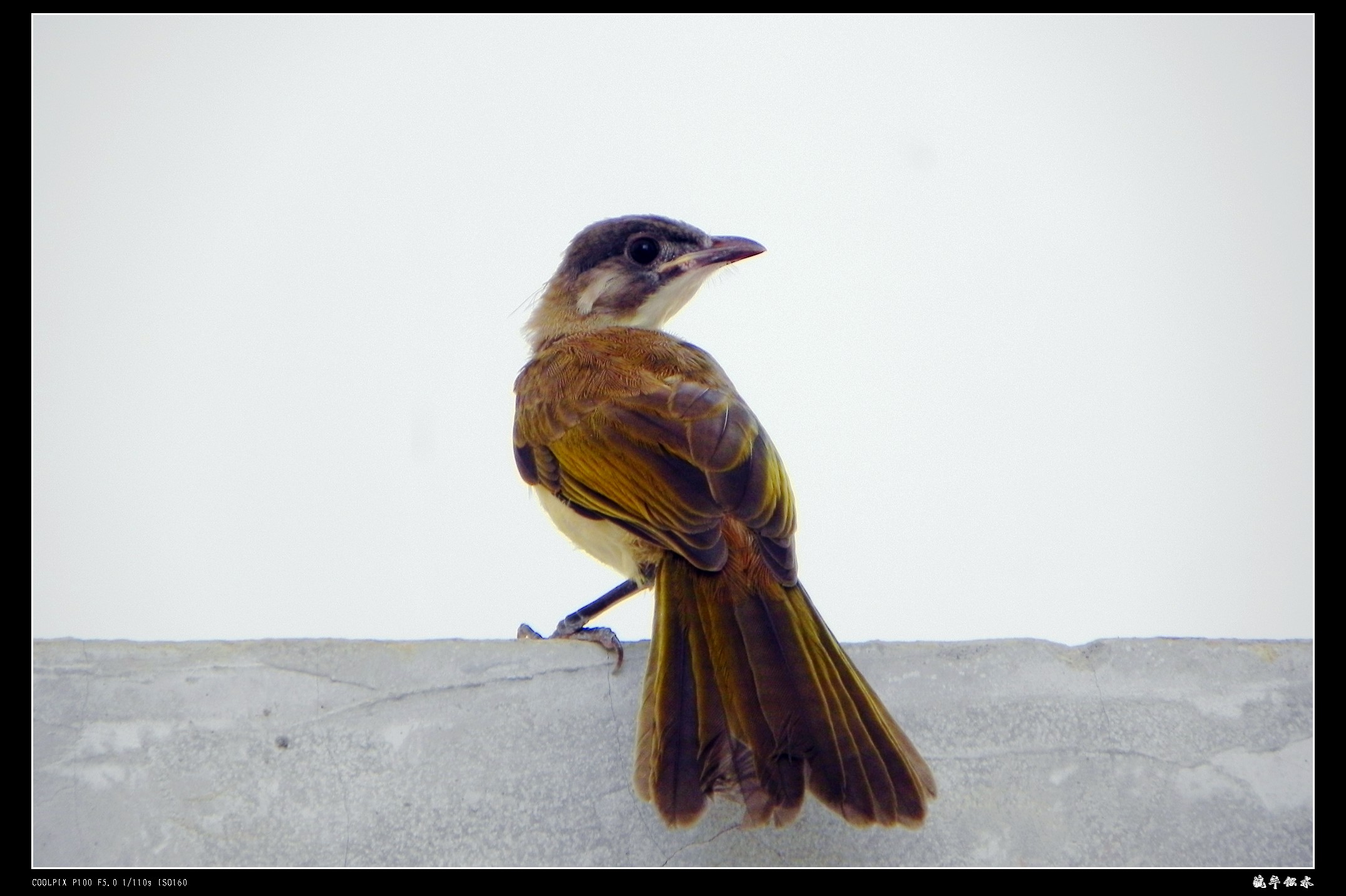 DSCN9731.JPG