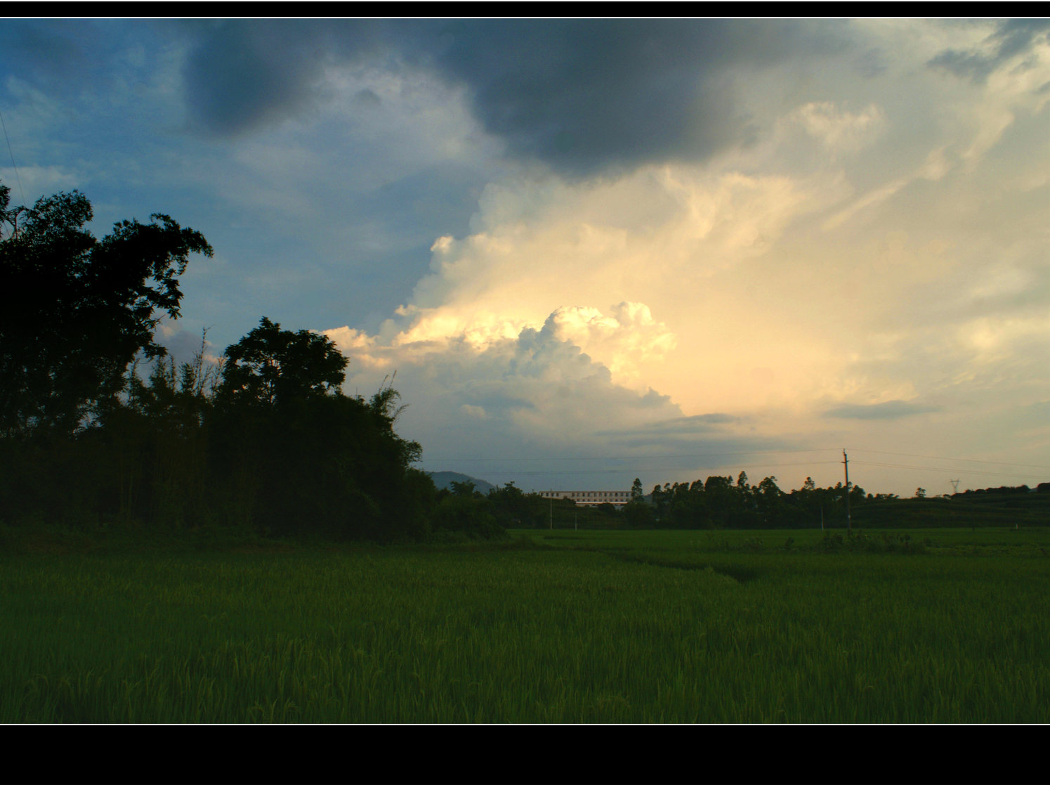 DSC06860.jpg