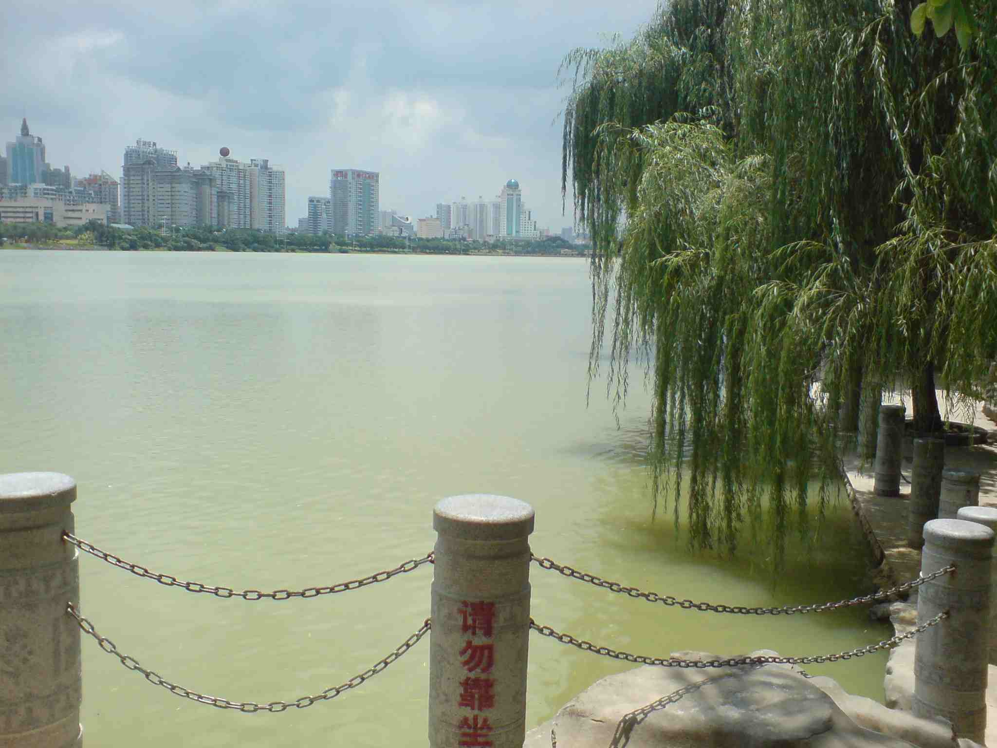 DSC00107.jpg