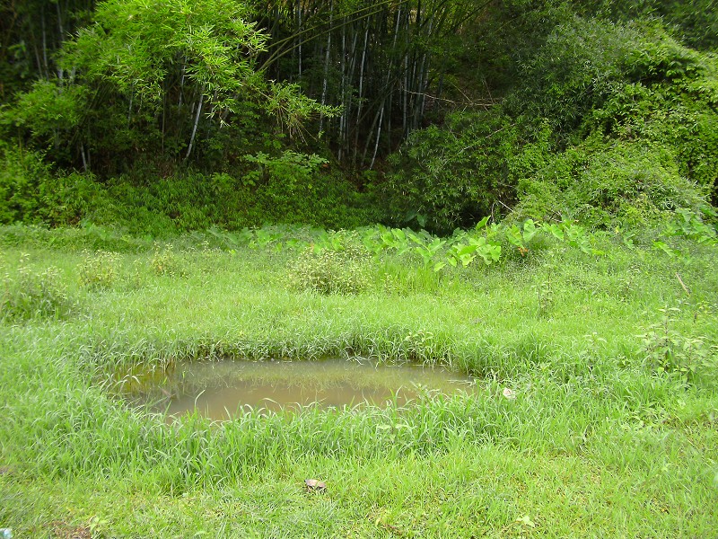DSCK1518.JPG