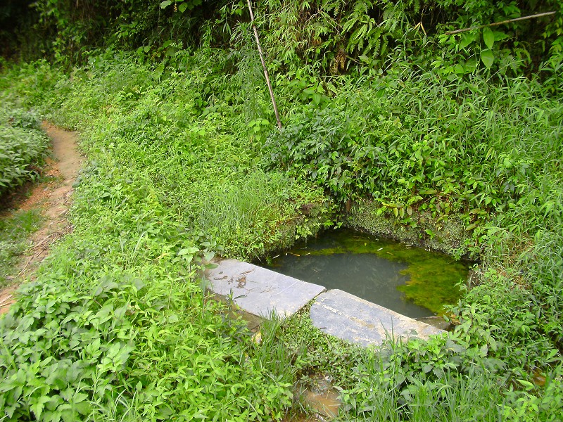 DSCK1520.JPG