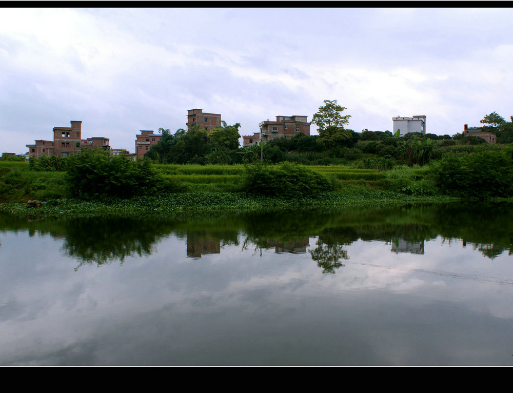 DSC06989.jpg