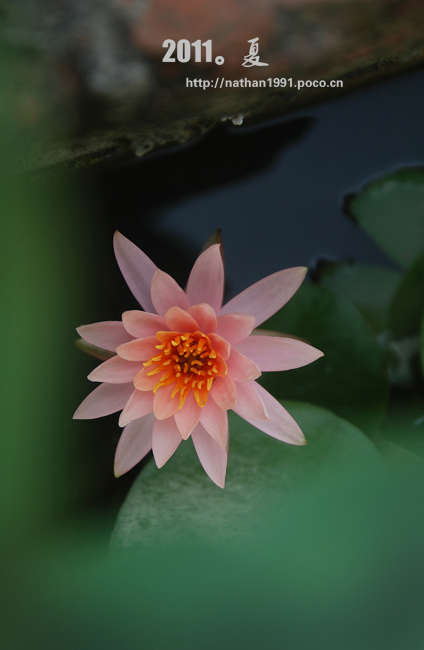 DSC_1889.jpg