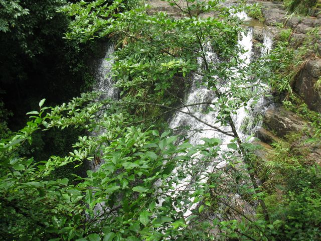 照片 042-1.jpg