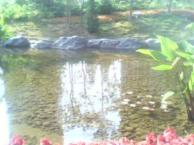 IMG0164A.jpg